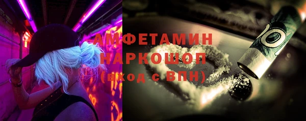 стаф Вязьма