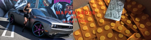 стаф Вязьма