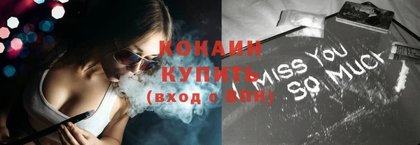 стаф Вязьма