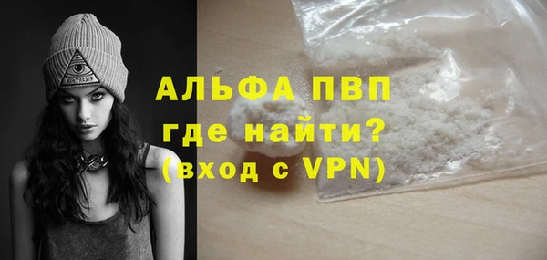 стаф Вязьма