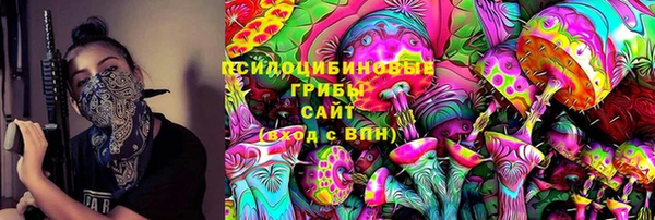 стаф Вязьма