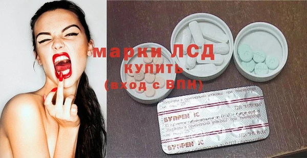 стаф Вязьма