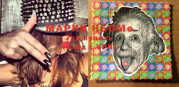 стаф Вязьма