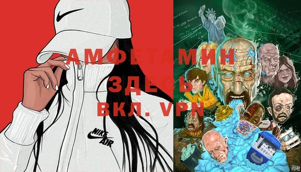 стаф Вязьма