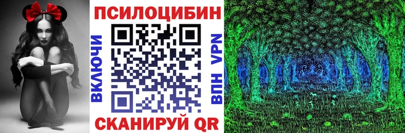Купить  Шлиссельбург  Галлюциногенные грибы GOLDEN TEACHER 