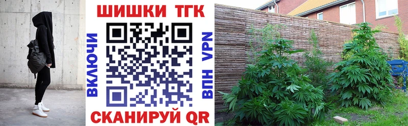 Купить где  Шлиссельбург  Конопля SATIVA & INDICA 